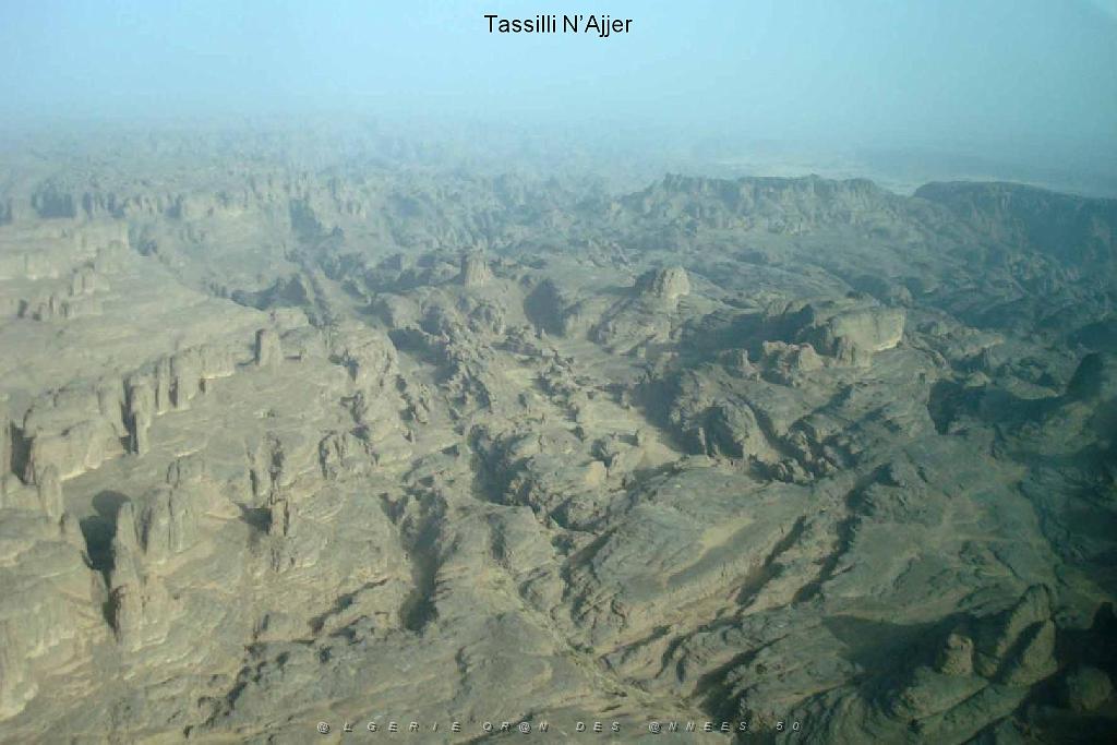 Algerie mars 2010_000020.jpg